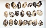 Lot: Polished Madagascar Black Opal Pendants - Pieces #138968-2